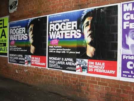 Roger finds his wall. These beauties were spotted by Sue Jones under a railway bridge in Jolimont Pde East Melbourne