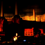 Pigs On The Wing Part 1